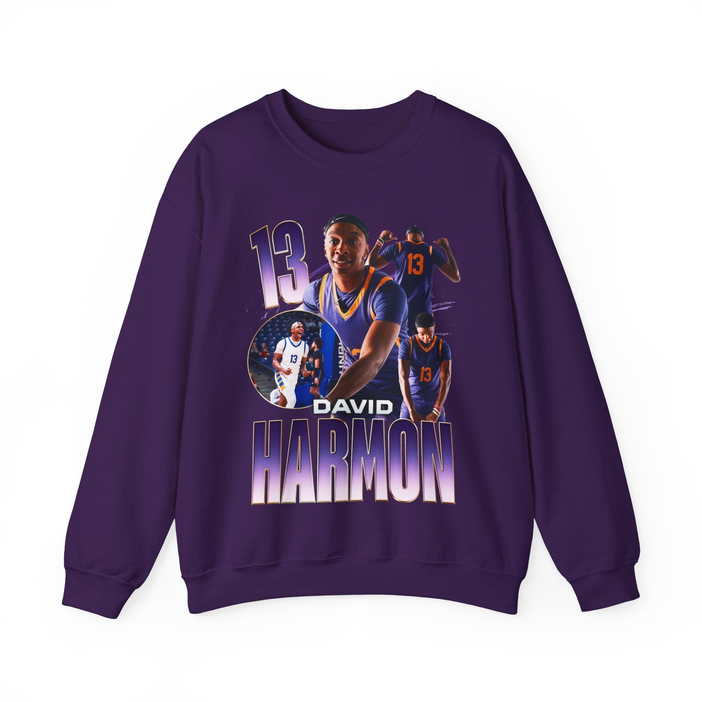 David Harmon Crewneck Sweatshirt