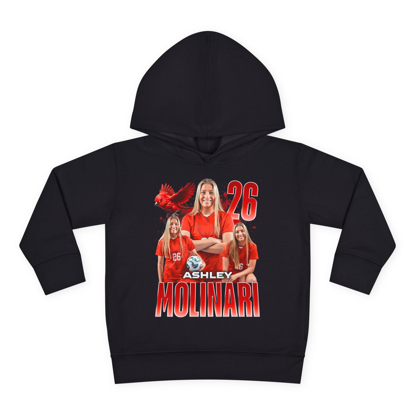 Ashley Molinari Toddler Pullover Hoodie