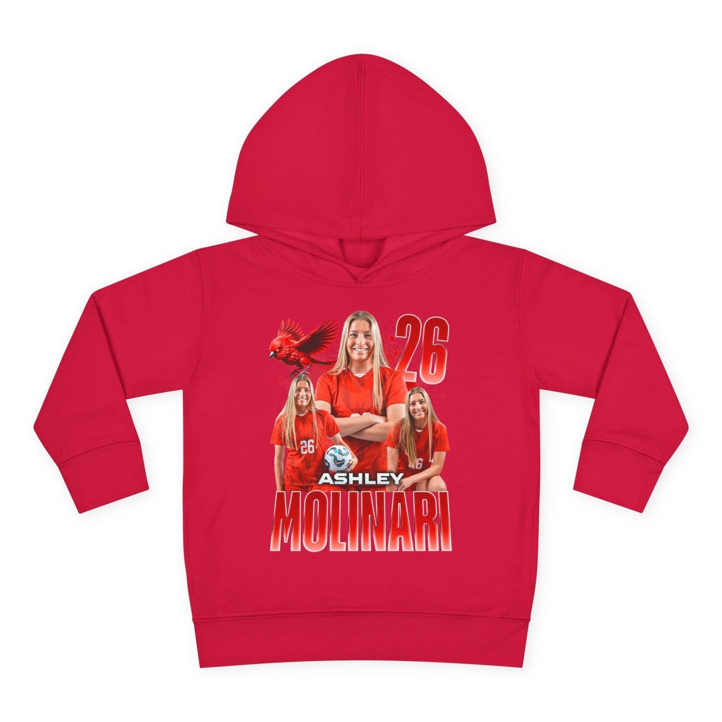 Ashley Molinari Toddler Pullover Hoodie