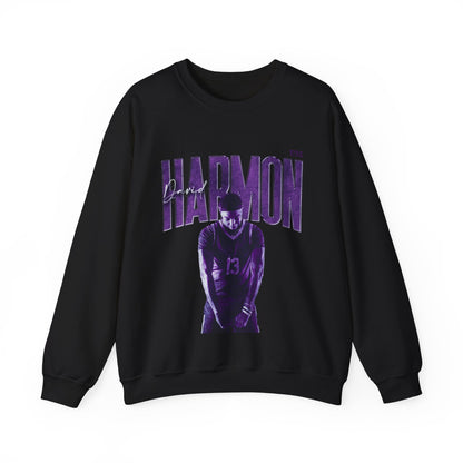 David Harmon Faded Glory Crewneck Sweatshirt