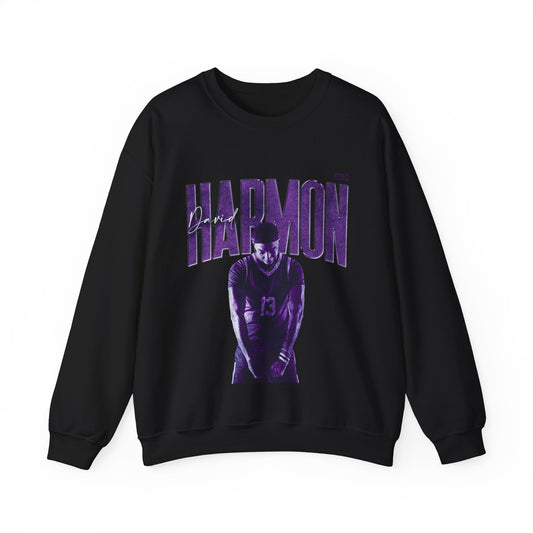 David Harmon Faded Glory Crewneck Sweatshirt