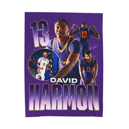 David Harmon 60"-80" Plush Blanket