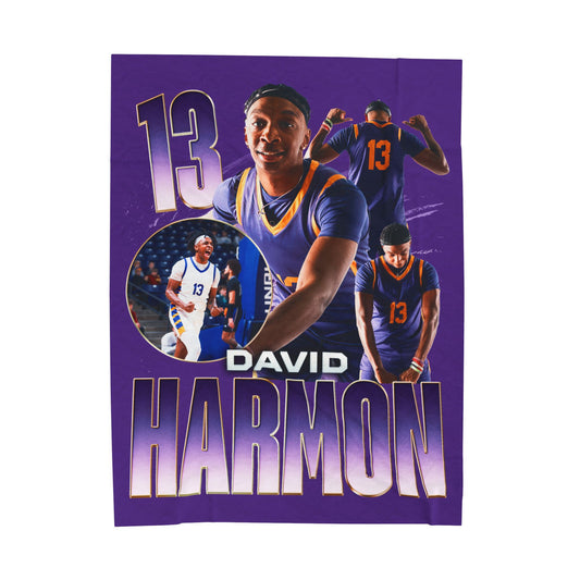 David Harmon 60"-80" Plush Blanket