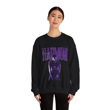 David Harmon Faded Glory Crewneck Sweatshirt