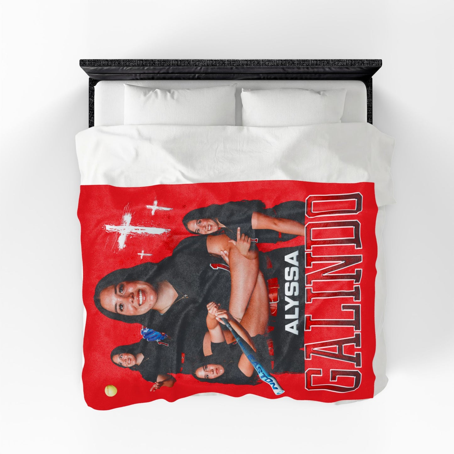 Alyssa Galindo 60"-80" Plush Blanket