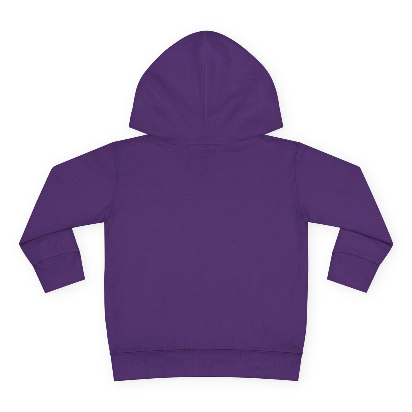 Nevaeh Bray Toddler Pullover Hoodie