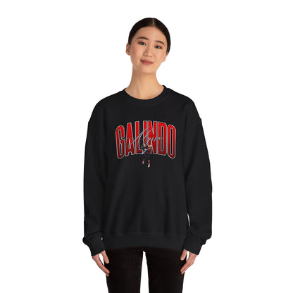 Alyssa Galindo Curved Combo Colored Crewneck Sweatshirt