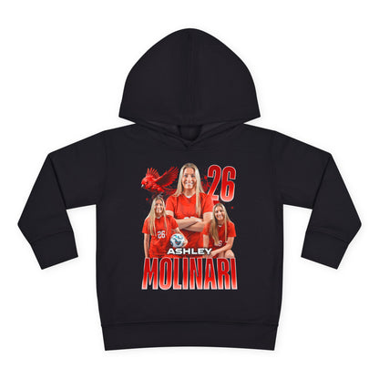 Ashley Molinari Toddler Pullover Hoodie