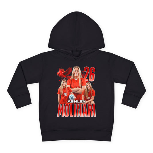 Ashley Molinari Toddler Pullover Hoodie