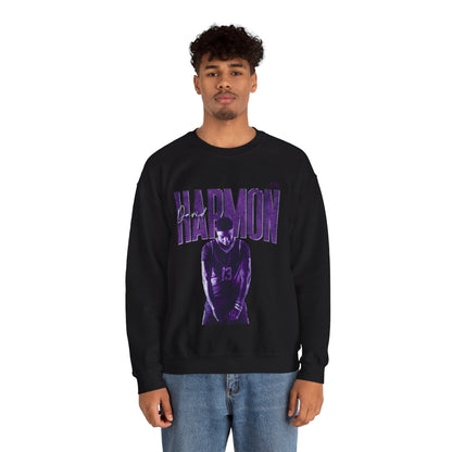 David Harmon Faded Glory Crewneck Sweatshirt