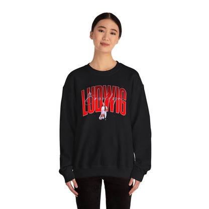 Brooklyn Ludwig Curved Combo Colored Crewneck Sweatshirt