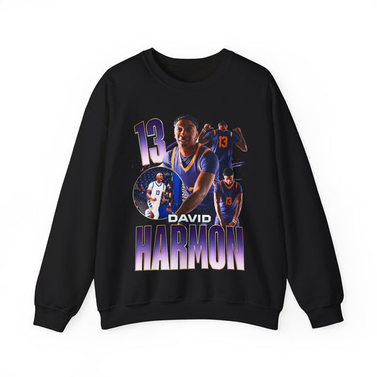 David Harmon Crewneck Sweatshirt