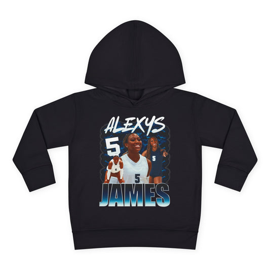 Alexys James Toddler Pullover Hoodie