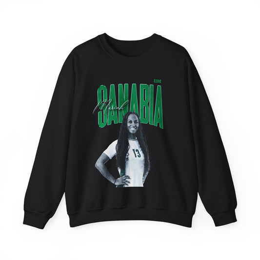 Mariah Sanabia Faded Glory Crewneck Sweatshirt