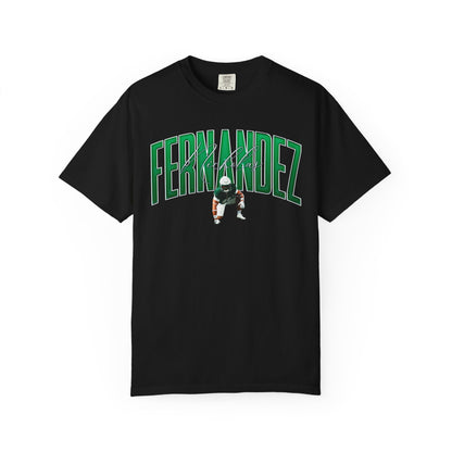 Nicholas Fernandez Big Last Name Premium Tee