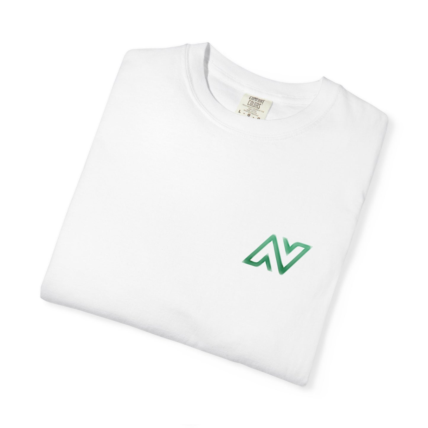Ashlynne Vote Logo Premium Tee