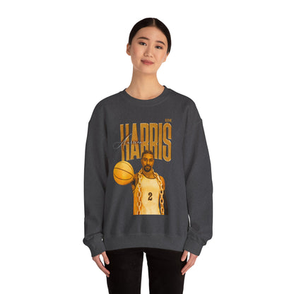 Aurrion Harris Faded Glory Crewneck Sweatshirt