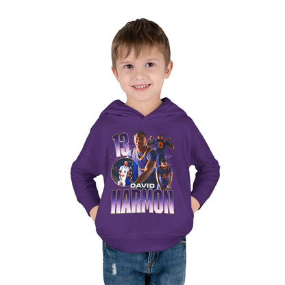 David Harmon Toddler Pullover Hoodie