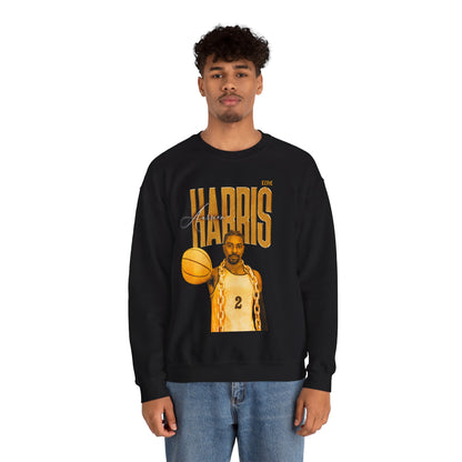 Aurrion Harris Faded Glory Crewneck Sweatshirt