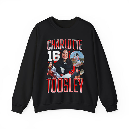 Charlotte Toosley Single Color Combo Crewneck Sweatshirt