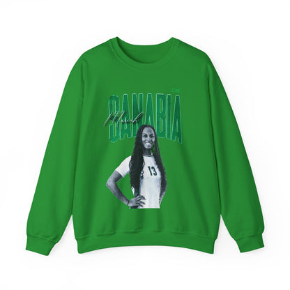 Mariah Sanabia Faded Glory Crewneck Sweatshirt