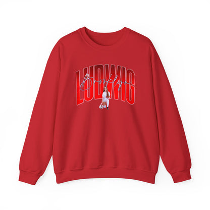 Brooklyn Ludwig Curved Combo Colored Crewneck Sweatshirt