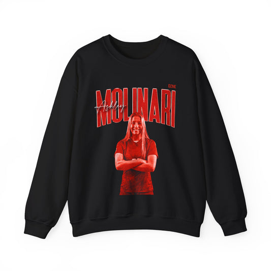 Ashley Molinari Faded Glory Crewneck Sweatshirt