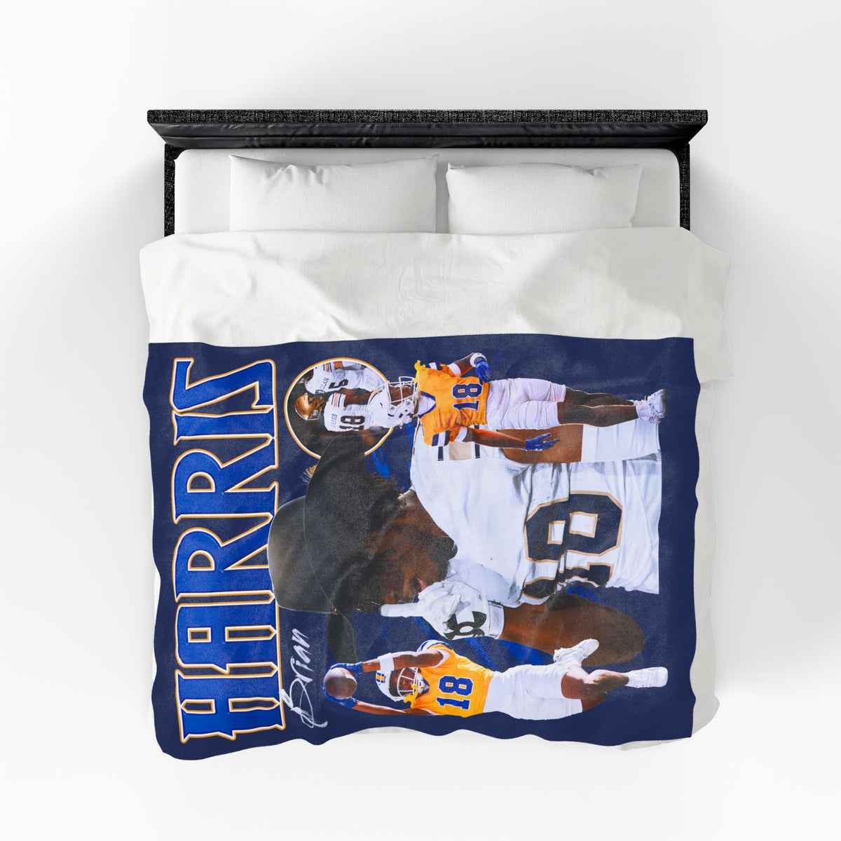 Brian Harris 60"-80" Plush Blanket