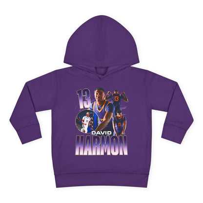 David Harmon Toddler Pullover Hoodie