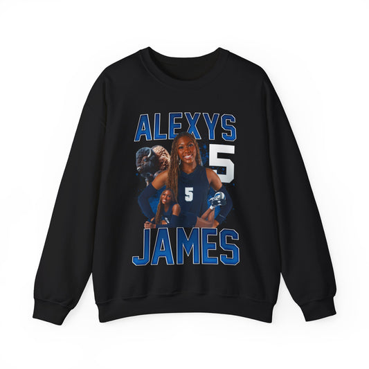 Alexys James Sweatshirt