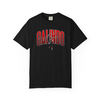 Alyssa Galindo Curved Combo Colored Premium Tee