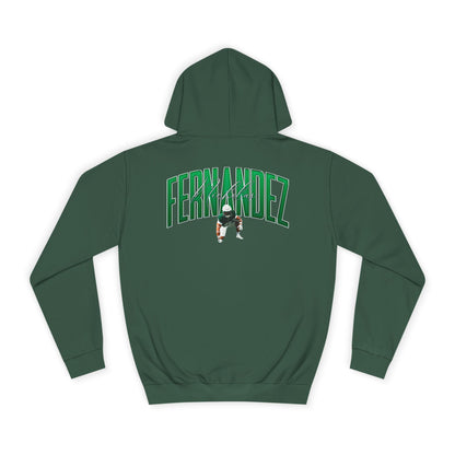 Nicholas Fernandez Big Last Name Premium Hoodie