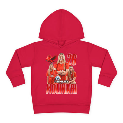 Ashley Molinari Toddler Pullover Hoodie