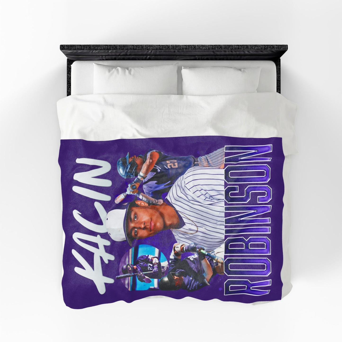 Kacin Robinson 60"-80" Plush Blanket