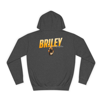Briley Whittington Cursive Combo Colored Premium Hoodie