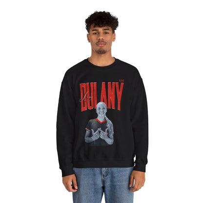 Lexi Dulany Faded Glory Crewneck Sweatshirt