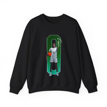 Brianna Davis Player Icon Number Crewneck Sweatshirt