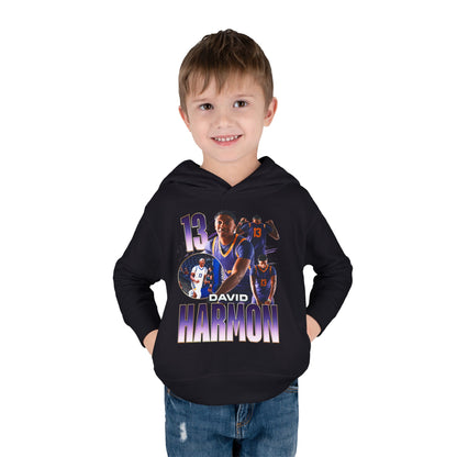 David Harmon Toddler Pullover Hoodie