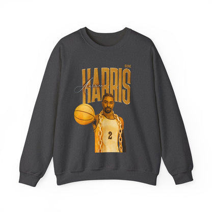 Aurrion Harris Faded Glory Crewneck Sweatshirt