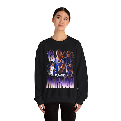 David Harmon Crewneck Sweatshirt